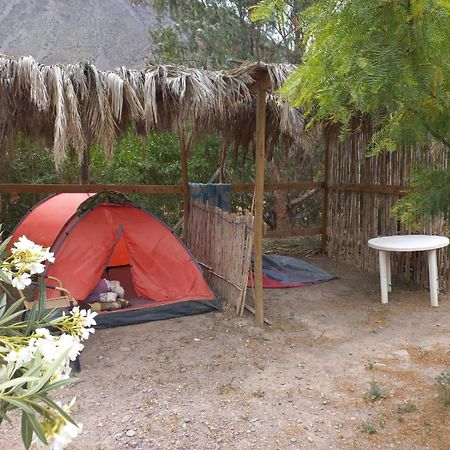 Vicuña Astro Camping Elqui Experience酒店 外观 照片