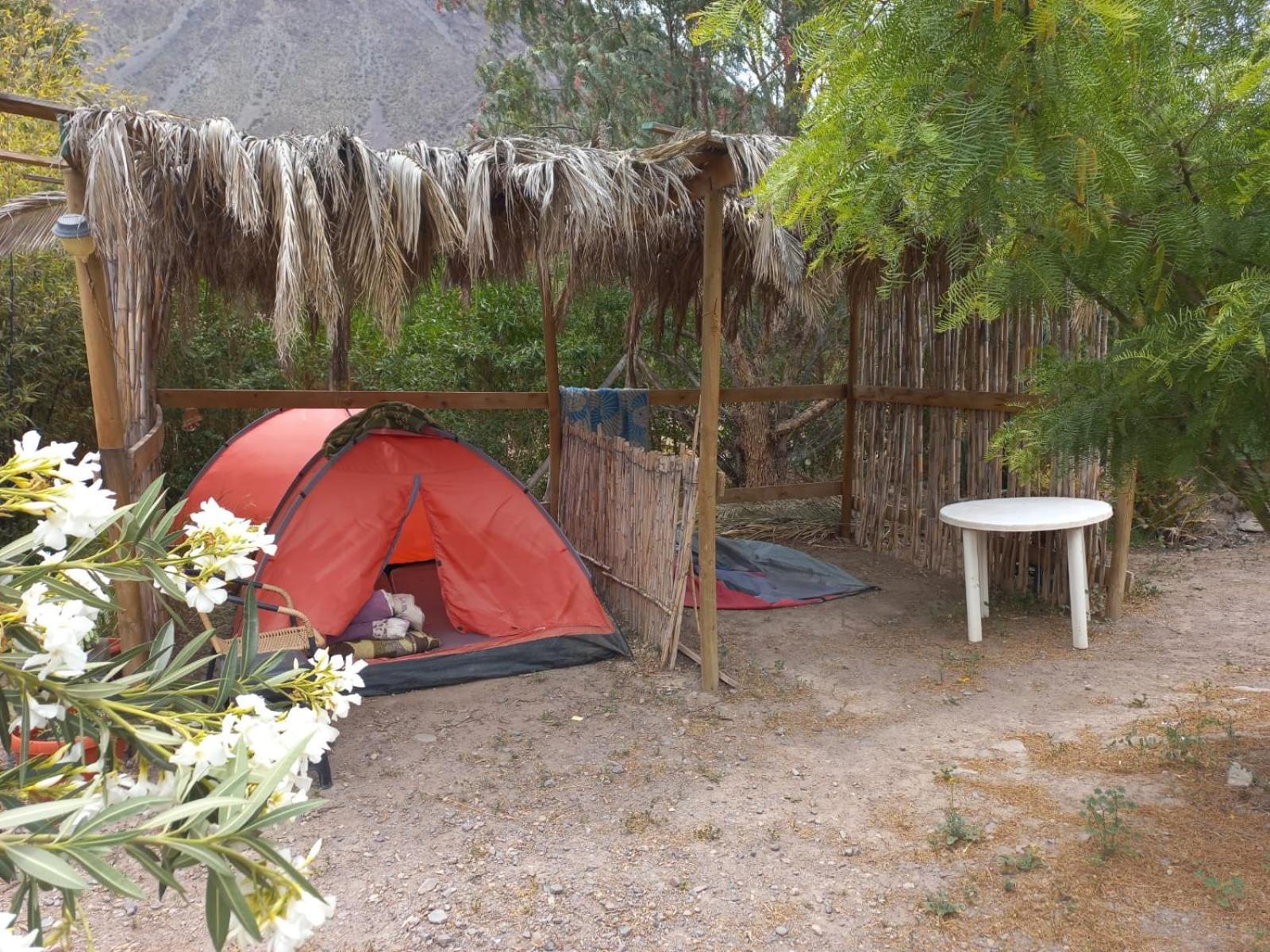 Vicuña Astro Camping Elqui Experience酒店 外观 照片